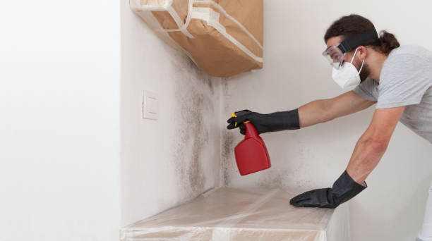 Professional Attic Mold Remediation technician working in Pennsauken, NJ