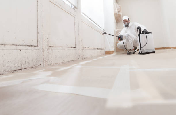 24/7 Emergency Attic Mold Remediation experts in Pennsauken, NJ