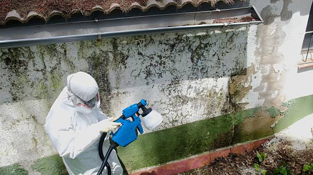 Top rated local Attic Mold Remediation specialists in Pennsauken, NJ